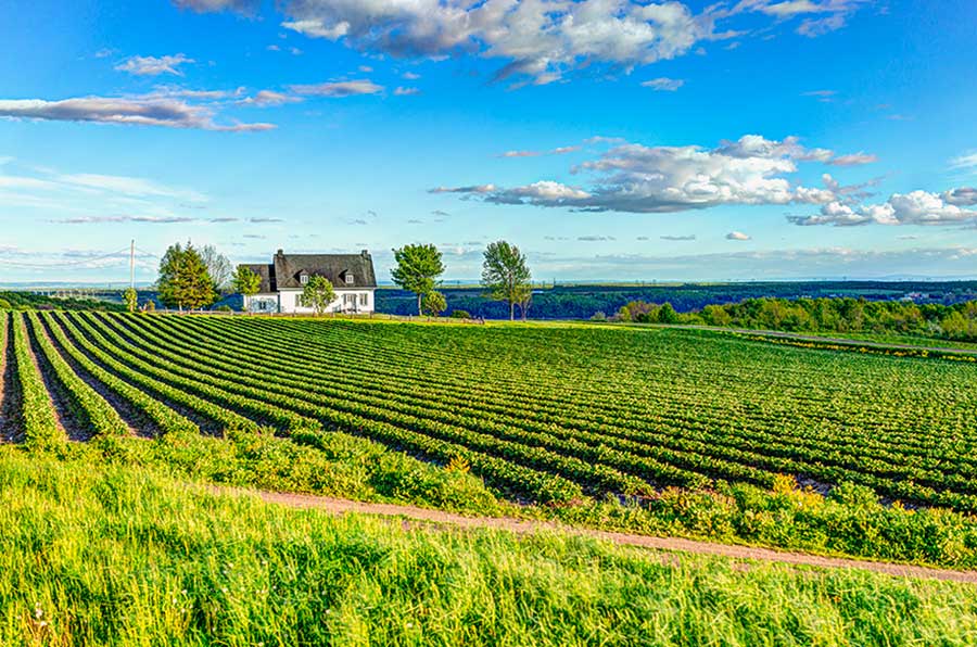 Ile d'Orléans, Québec