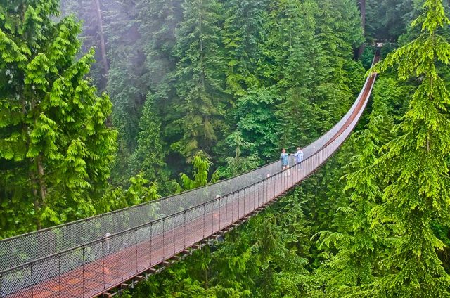 Pont suspendu Capilano - Vancouver
