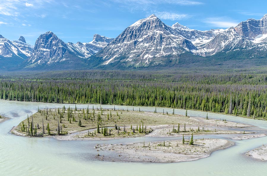 Route des Glaciers - Parc national Jasper