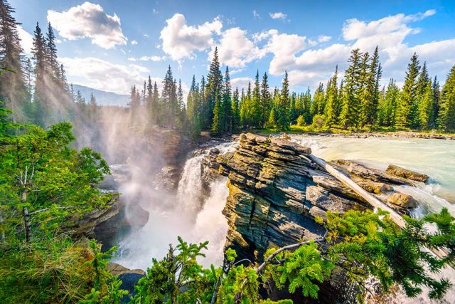 Chutes Athabasca - Roadtrip Ouest Canada