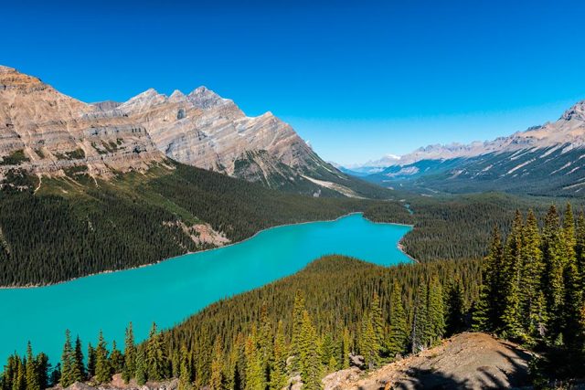 Lac Peyto - Alberta