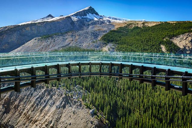 Skywalk - Columbia Icefield