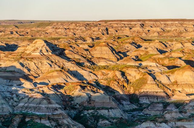 Roadtrip Ouest Canada - PP Dinosaur