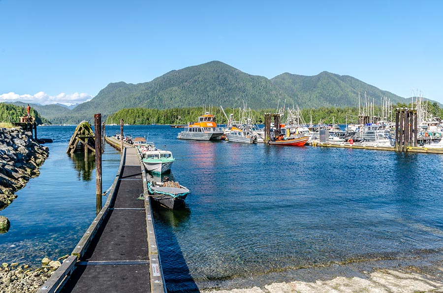 Marina Tofino - Départ croisière observation baleines