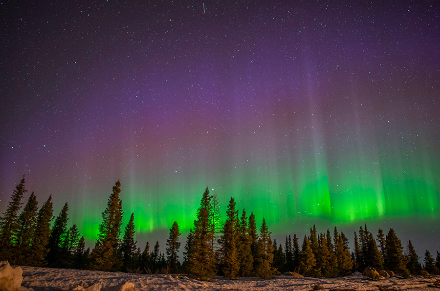 Aurores boréales - Yukon hiver