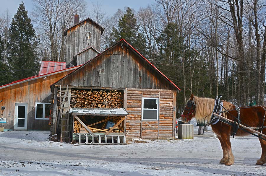 Cabane à sucre Québec - Hiver