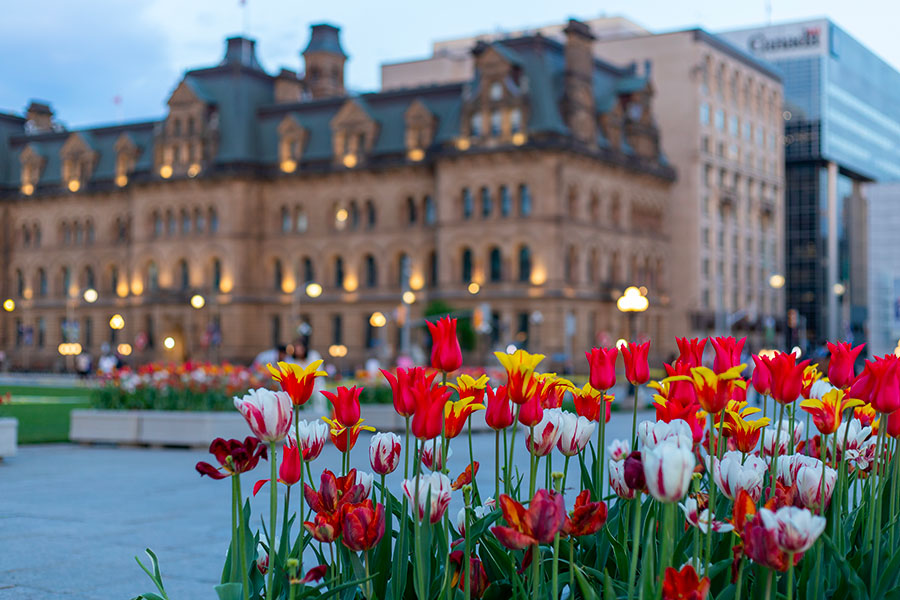 Festival des tulipes - Ottawa