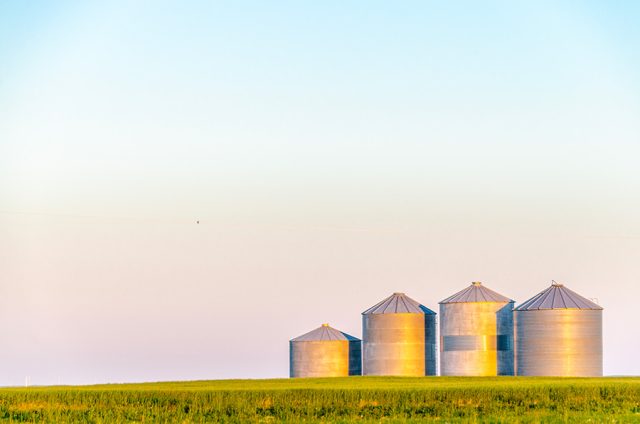 Champs Alberta
